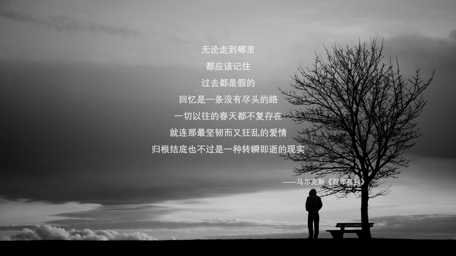 文班亚马43+14掀翻航母!太阳绝境重生,西部新秩序由他写下