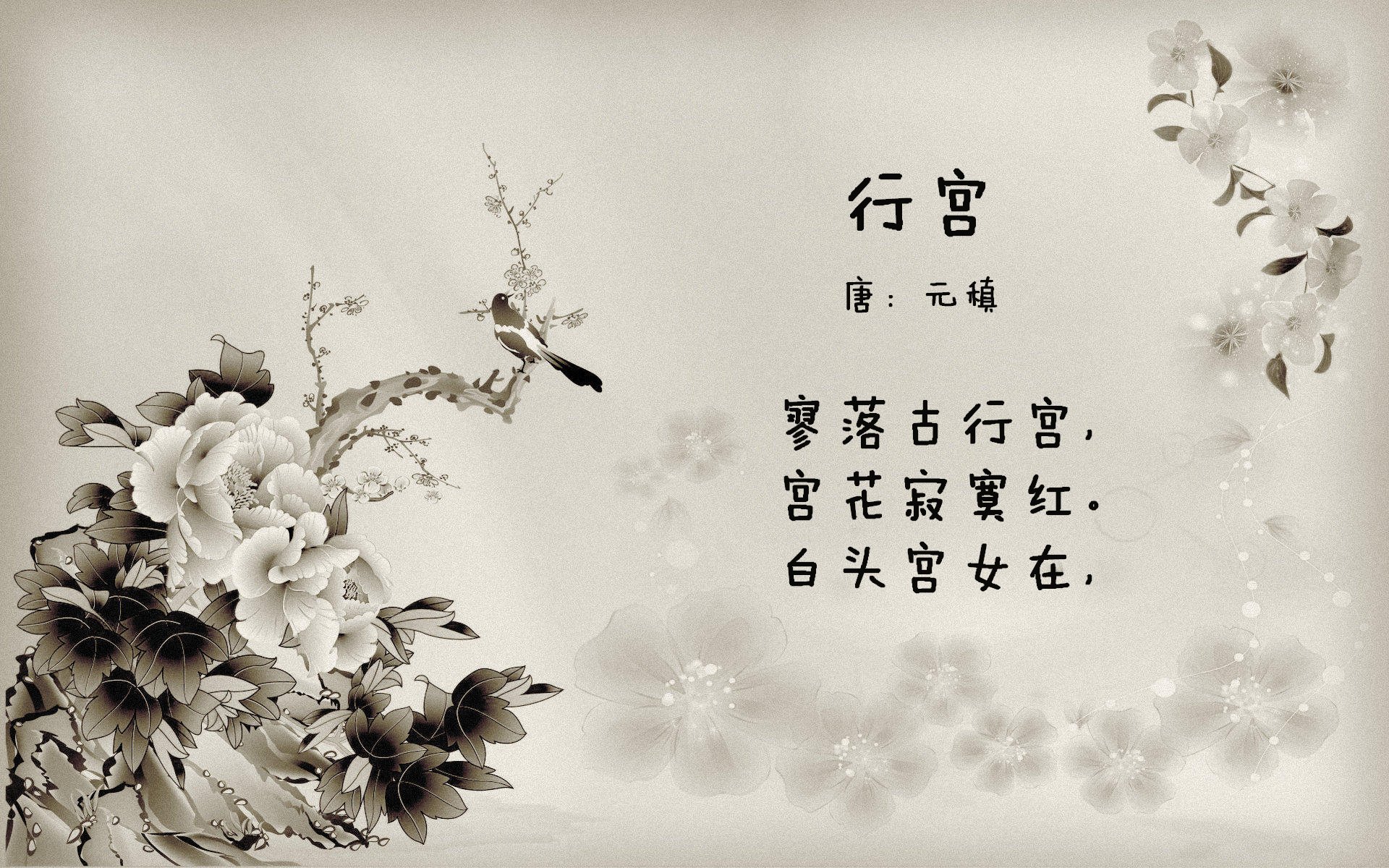 岁月厚积与青春闪击,当统治力以两种速度呈现