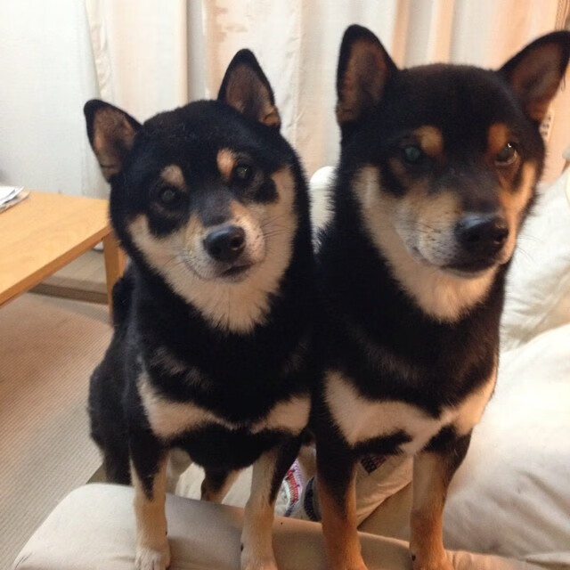 绿茵公牛撞碎三晋铁壁,一场跨越时空的强行终结