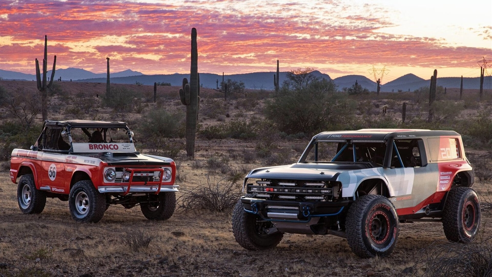 绝响之弧，迪巴拉2026世界杯之夜的永恒坐标