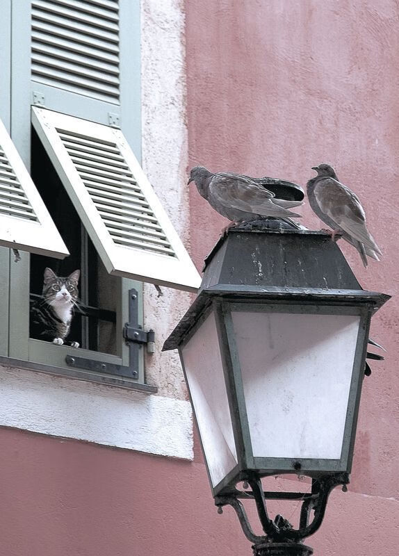 从尼斯到哥斯达黎加，莱奥在越大舞台上绽放的封神之路