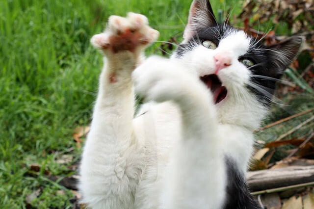 2026，我们改写剧本