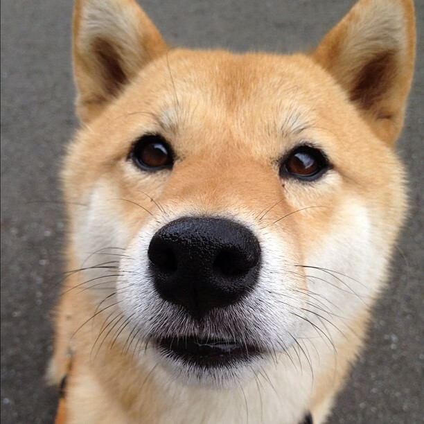 突破封锁的艺术,从德布劳内的绿茵统治到德国的国际破局