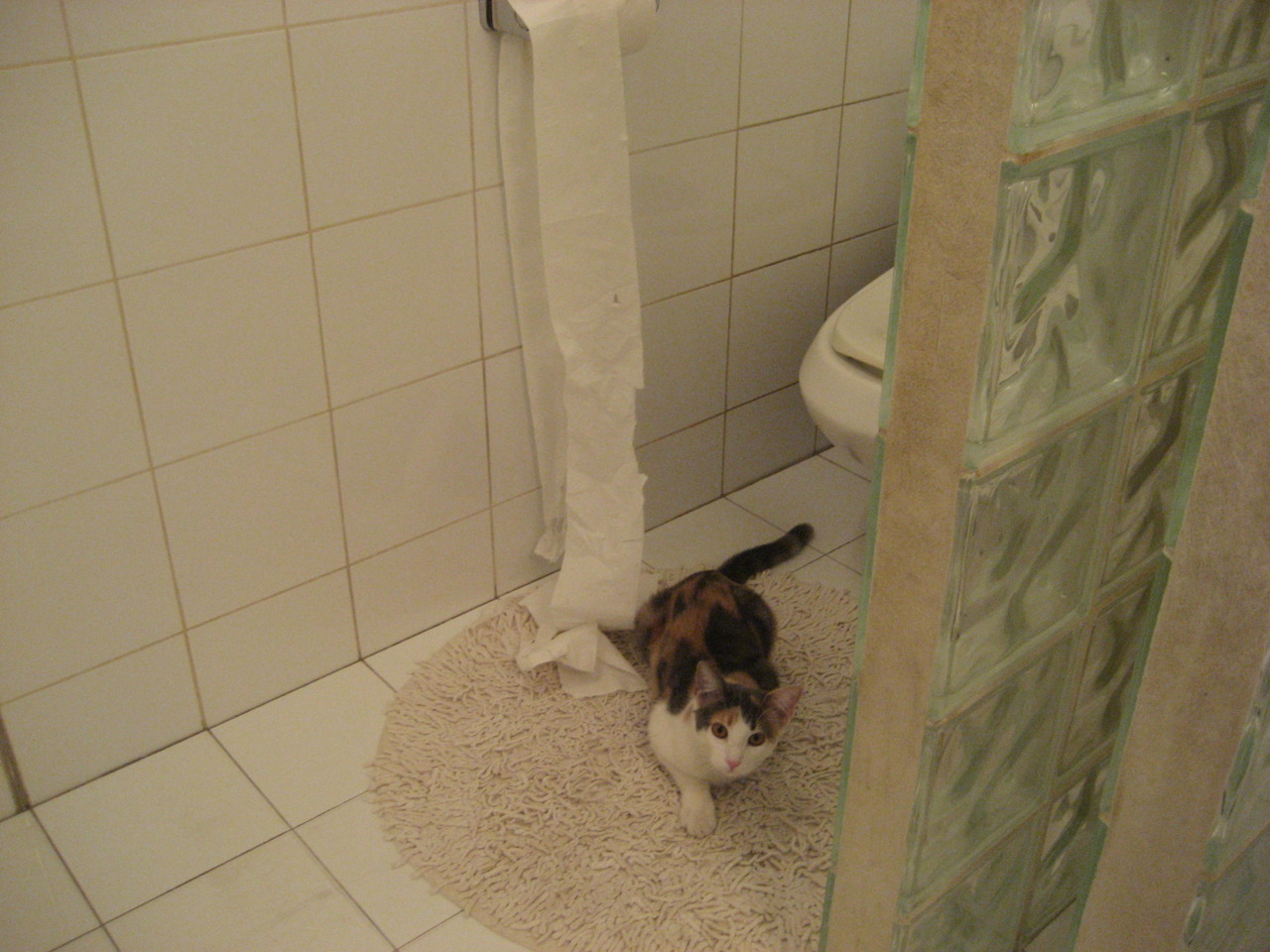 当明尼苏达的狼嚎响彻大运中心，武切维奇绝杀背后的篮球全球化寓言