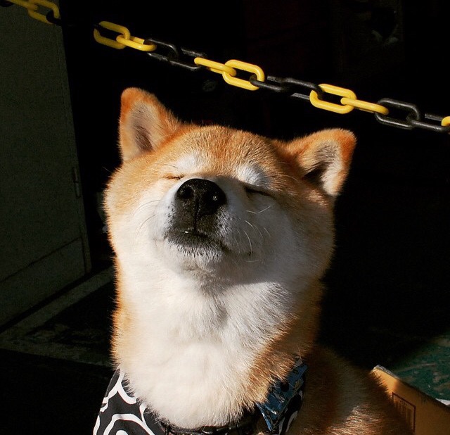 铁骑碾碎汽车城,武切维奇攻防统治,让比赛首节即入垃圾时间