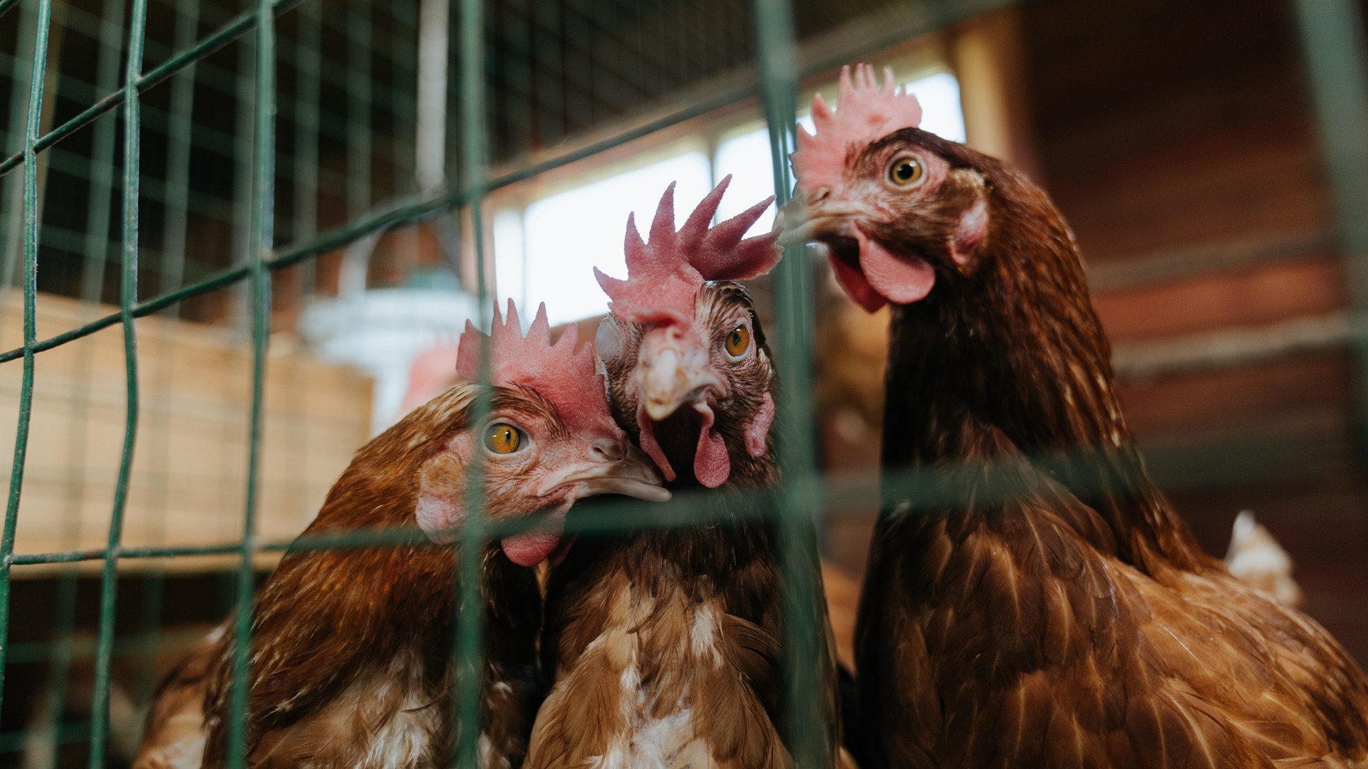 冰川在控球，当斯通斯用冰岛的耐心踏平曼联的浮躁