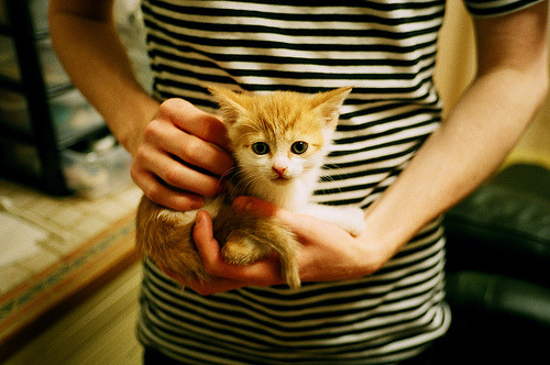 开云体育在线-切换宇宙频道，当爱德华兹的怒吼遇见北京队掀翻凯尔特人