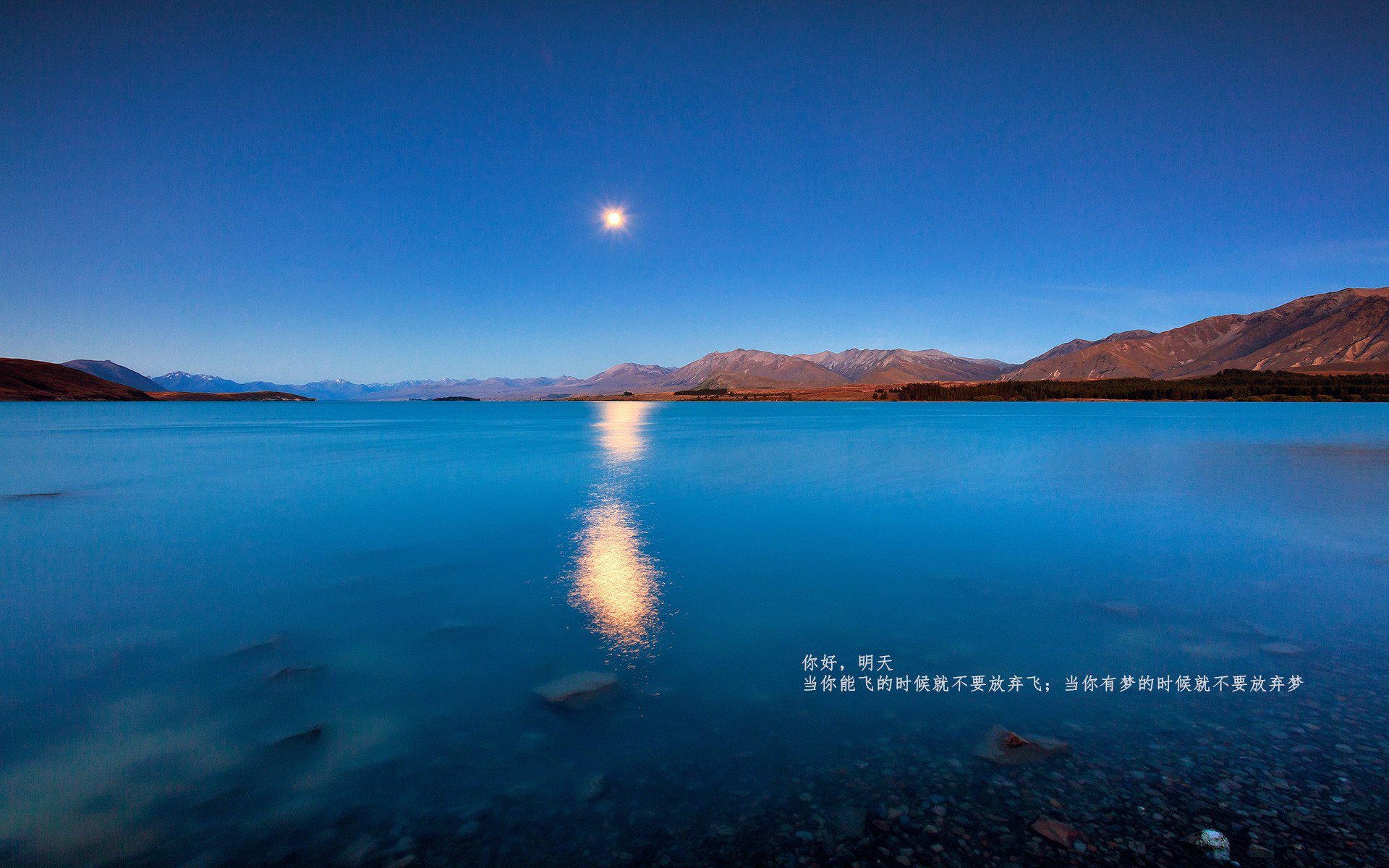 黄蜂抢七击败山西晋级，命运之战的绝地回响