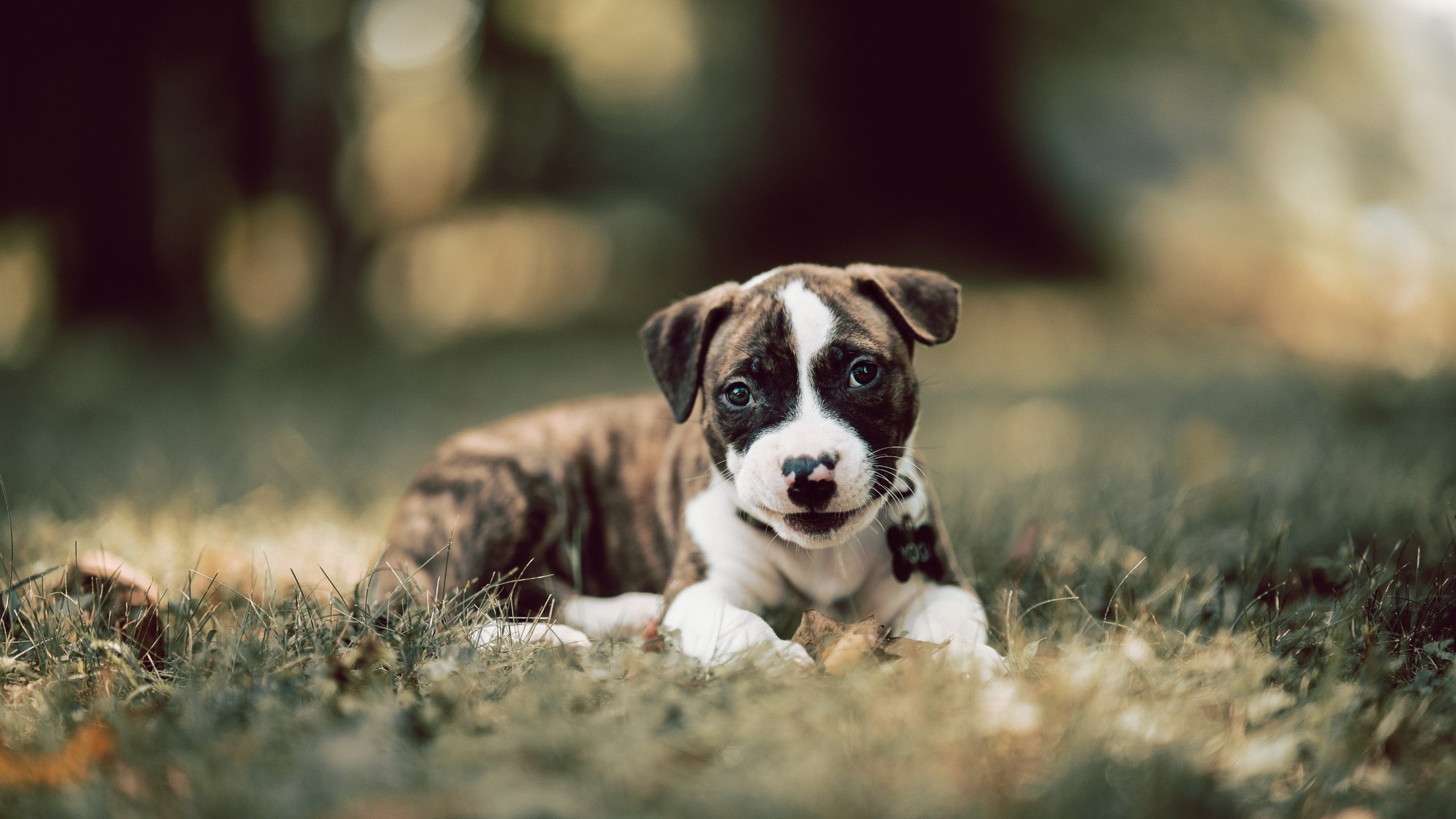 七秒，四个进球，一场传奇，保罗的东决战神时刻