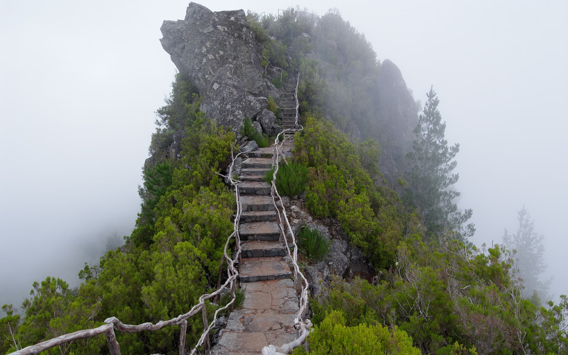 铁骑破苍穹,京多安灵感迸发,尤文立体火力全面压制拉齐奥