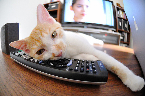 阿尔卑斯交响曲，当托尼的惊雷劈开冰岛的铁壁