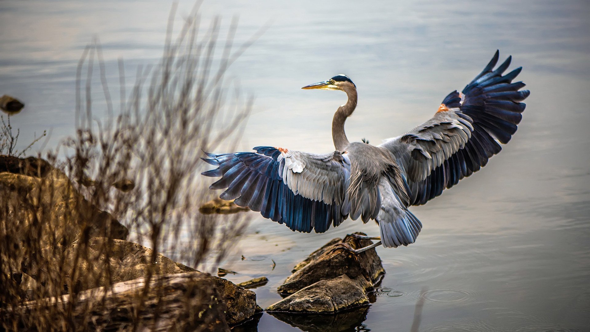 从饮水机到英雄，末节19分！米切尔一记三分浇灭麦迪逊花园的火焰