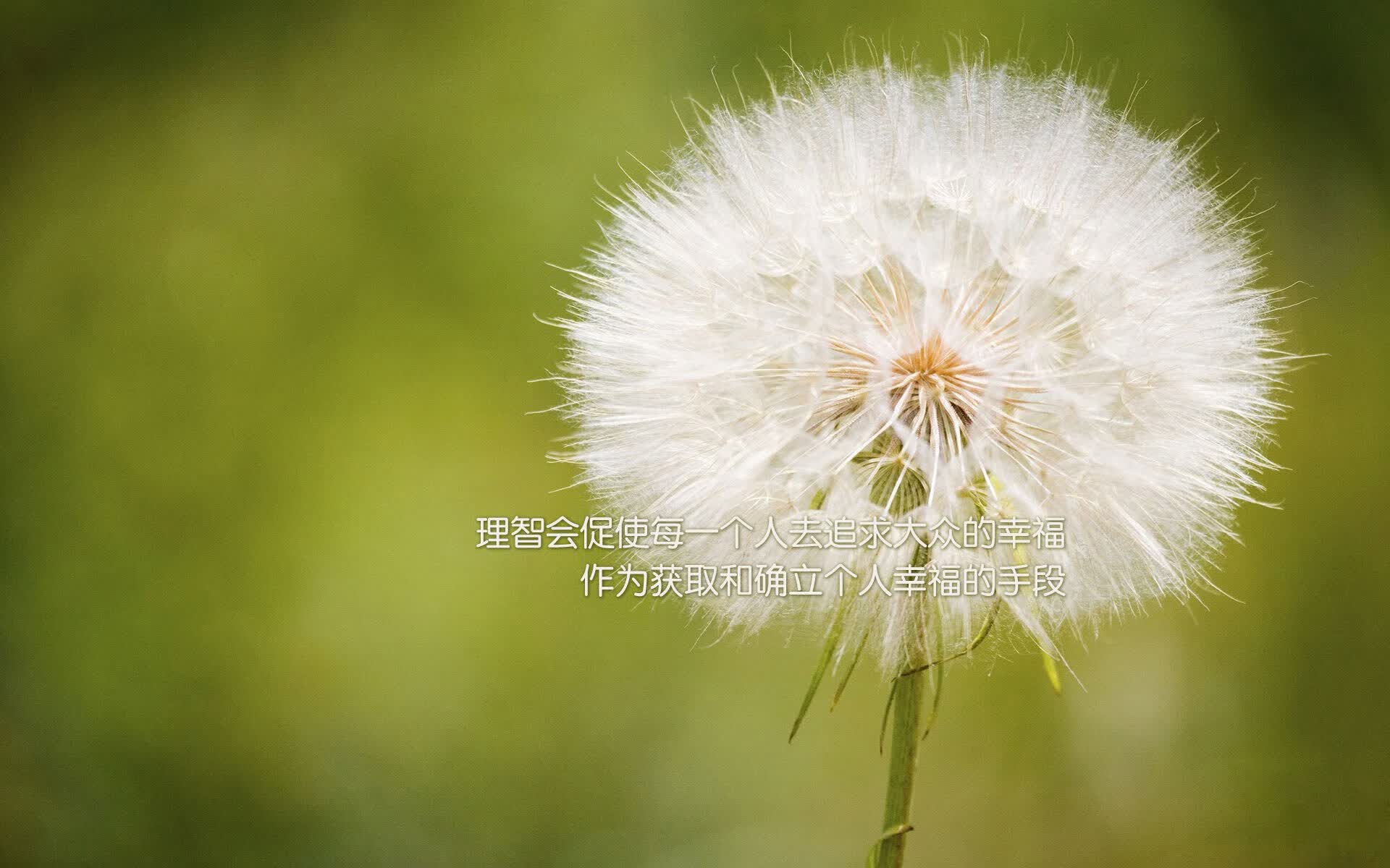 非常有戏剧性，充满了小国奇迹与新王登基的张力。我先为你拓展思维，构思几个不同风格的标题，再选择其中一个最具唯一性和文学色彩的方向，完成文章