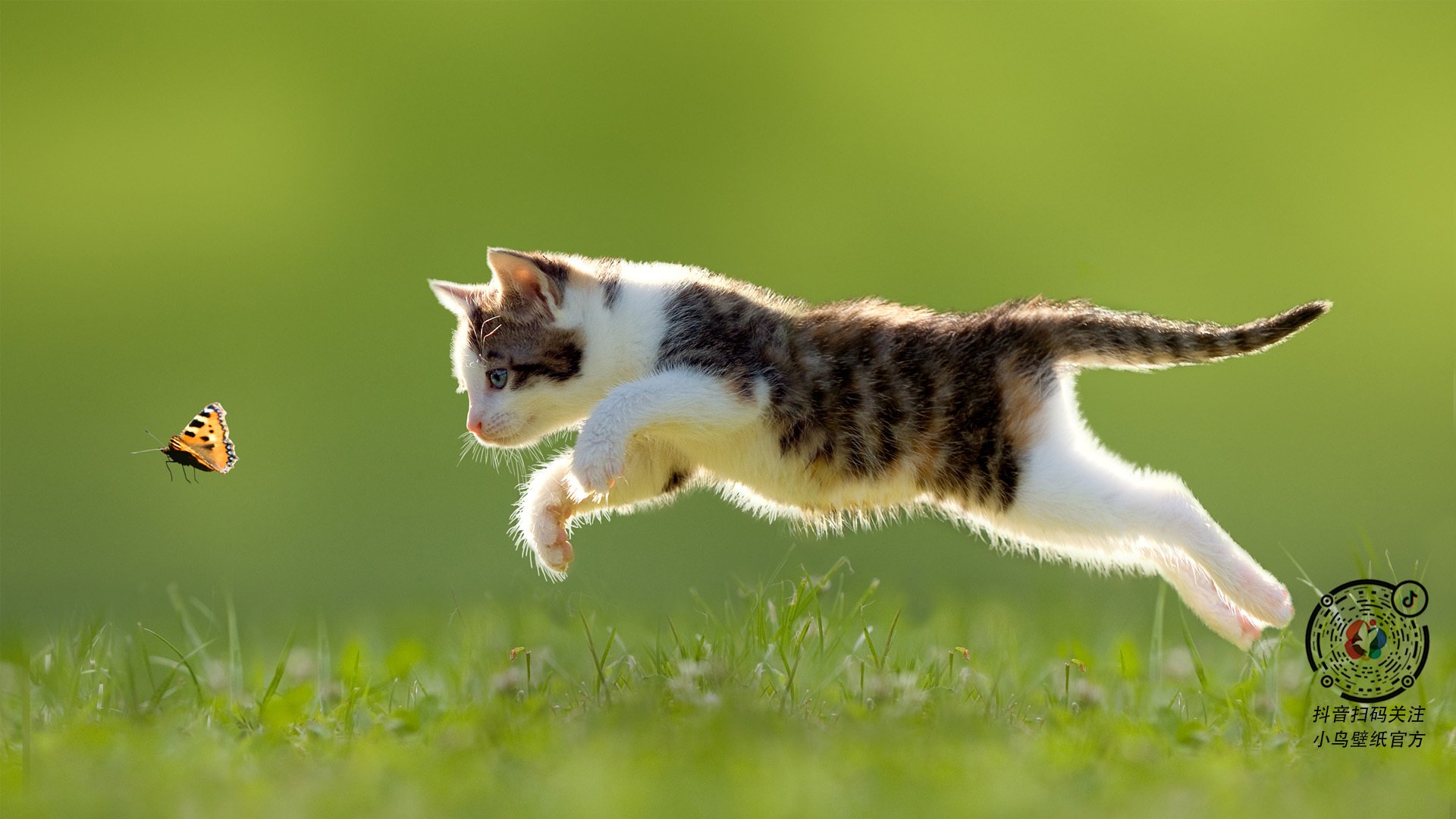 北非之狐的致命一击，2026世界杯G组，突尼斯1-0险胜葡萄牙，门神封神之夜
