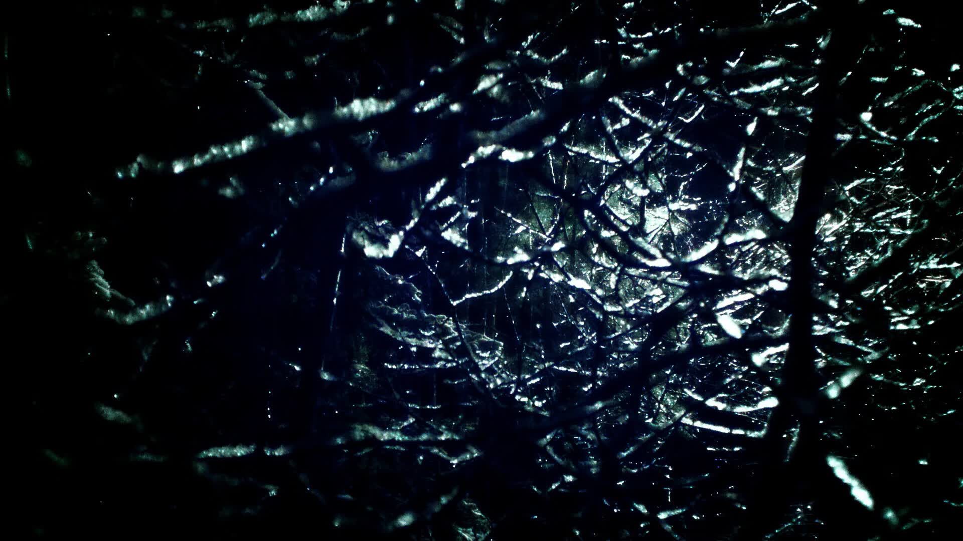 洛桑的雨夜,新王的加冕礼,当蓝衣铁血扼住命运咽喉,福登的舞步为旧时代奏响挽歌