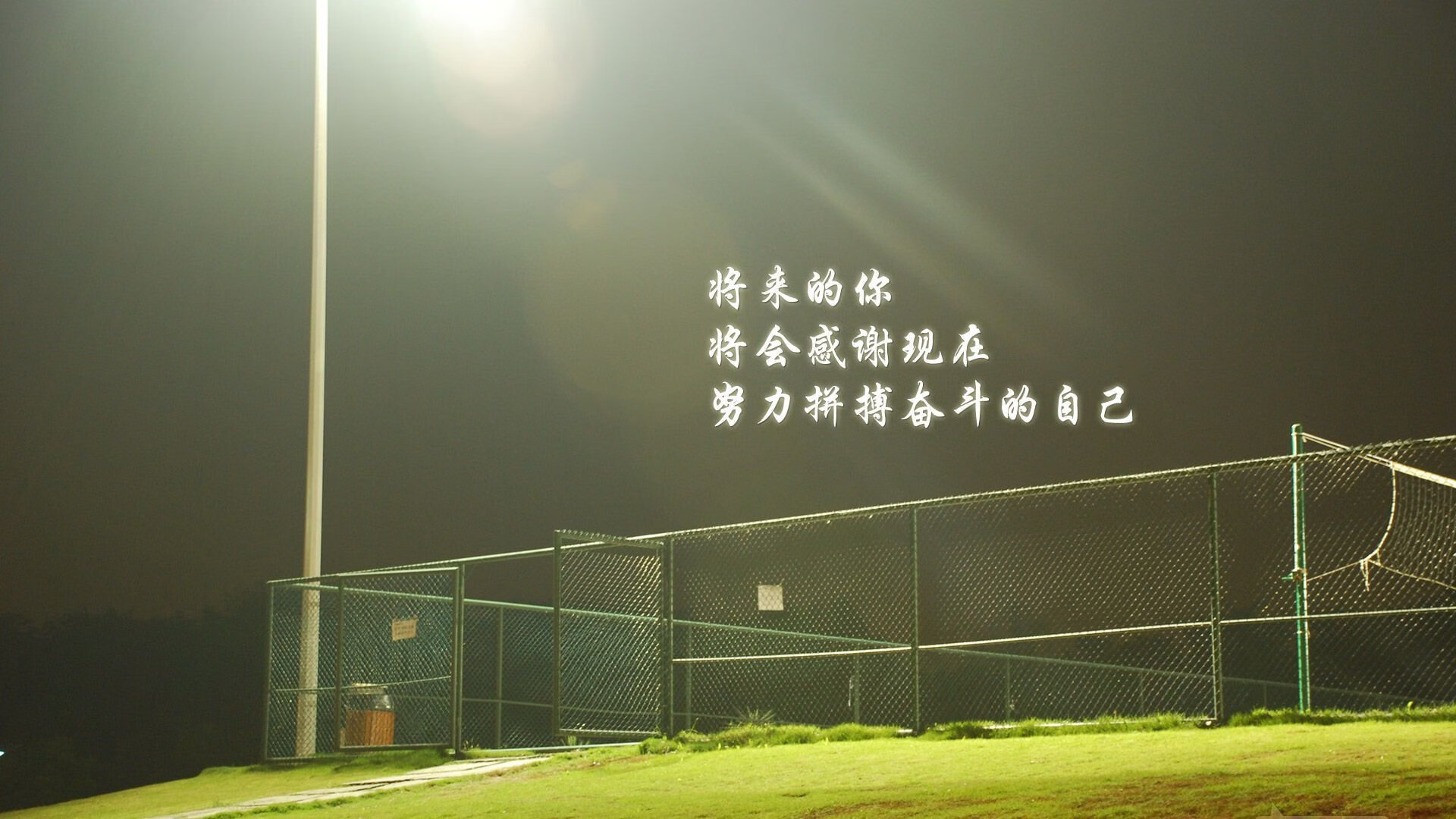 为此，我构思了以下标题和文章